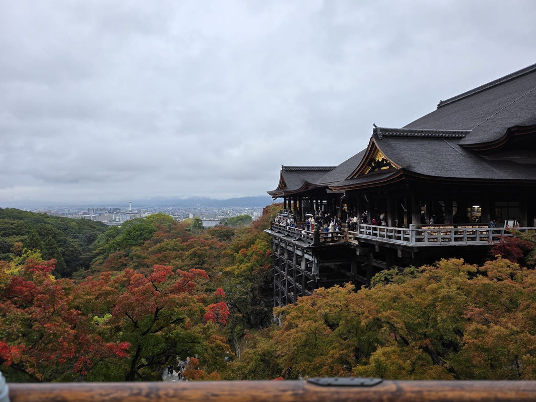 Kiyomizu-dera Temple (清水寺)