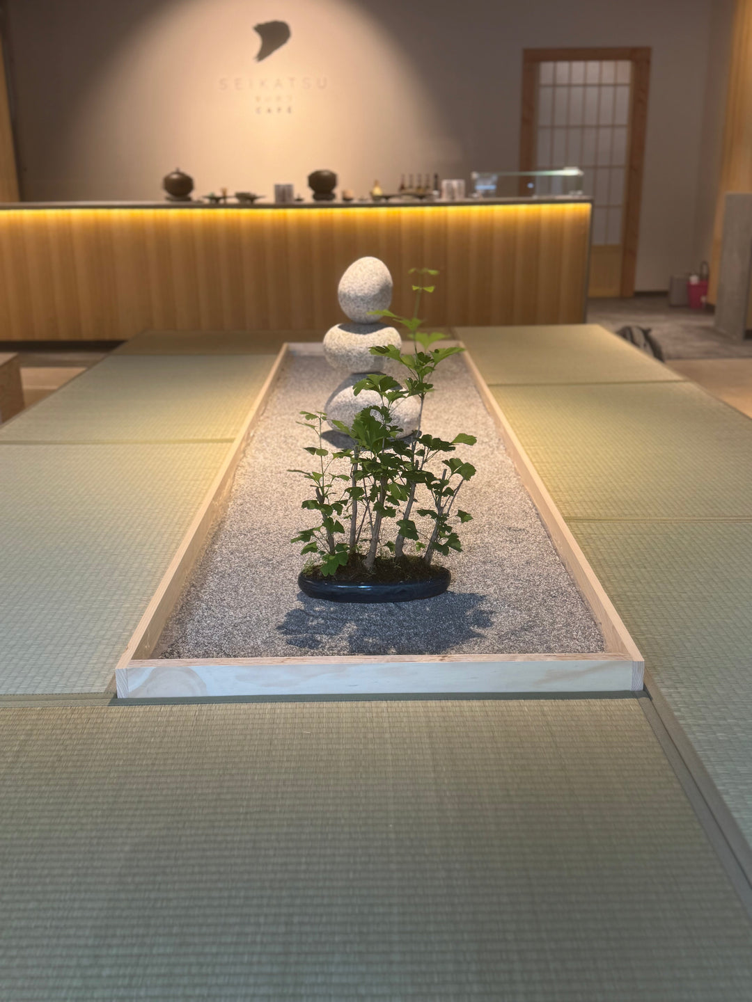 ZEN GARDEN SETS