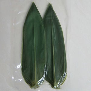 Bamboo Leaves Kappo Sasa 30cm 500pcs