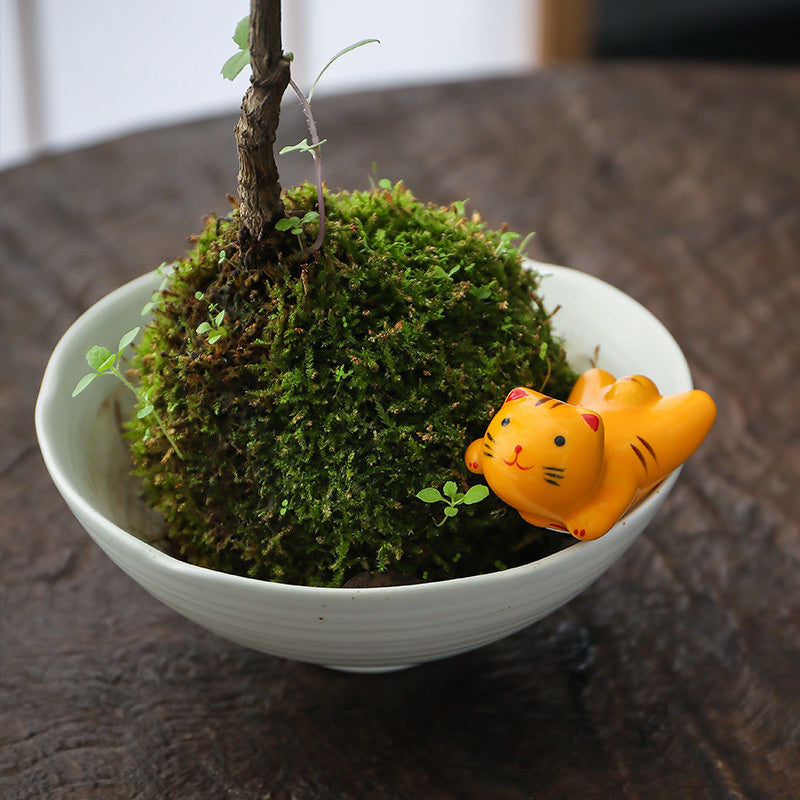 Nippon Chopstick Holder Cutty Cats 5pcs