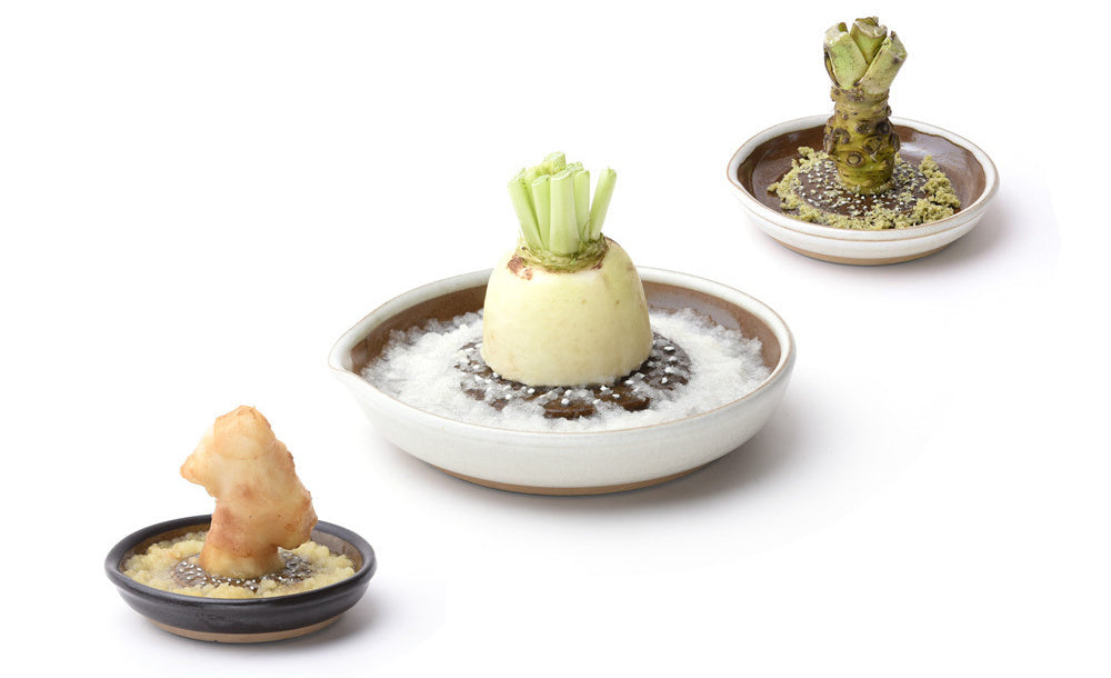 Japanse Rasp Keramiek Bord Groot 18,5x19x3,9cm