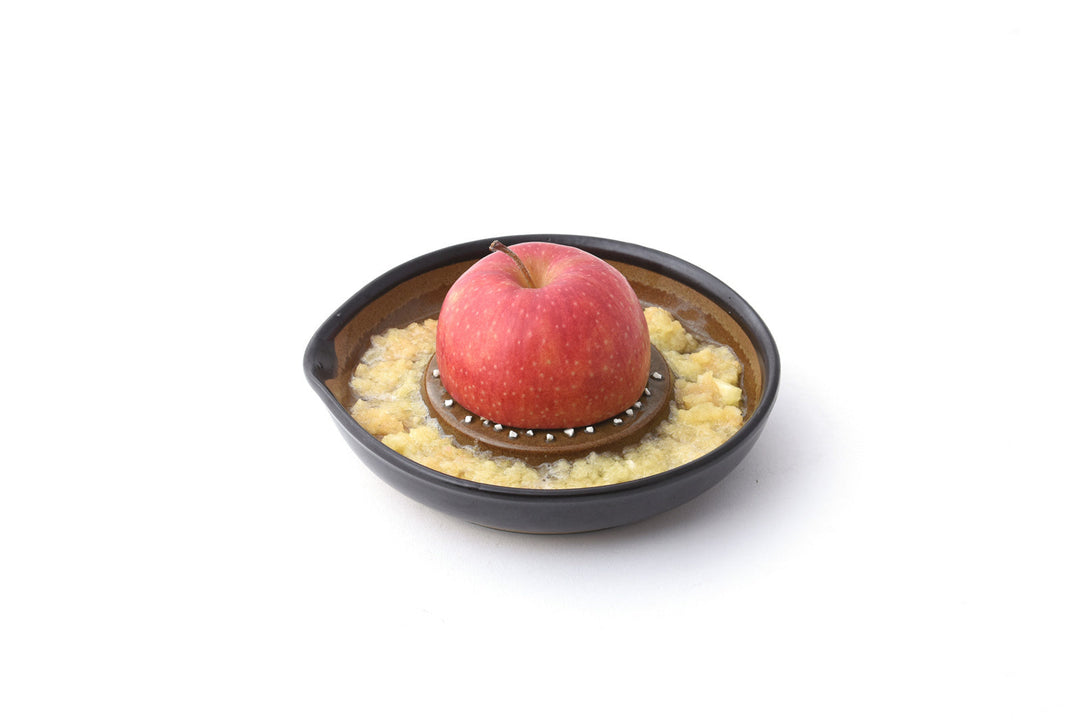 Japanse Rasp Keramiek Bord Groot 18,5x19x3,9cm